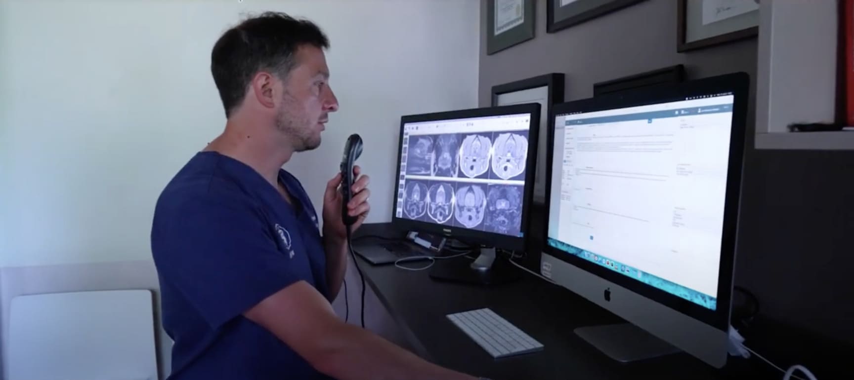 Veterinary teleradiology — remote medical imaging interpretation
